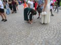 IMG_7780